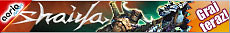 Shaiya - Banner